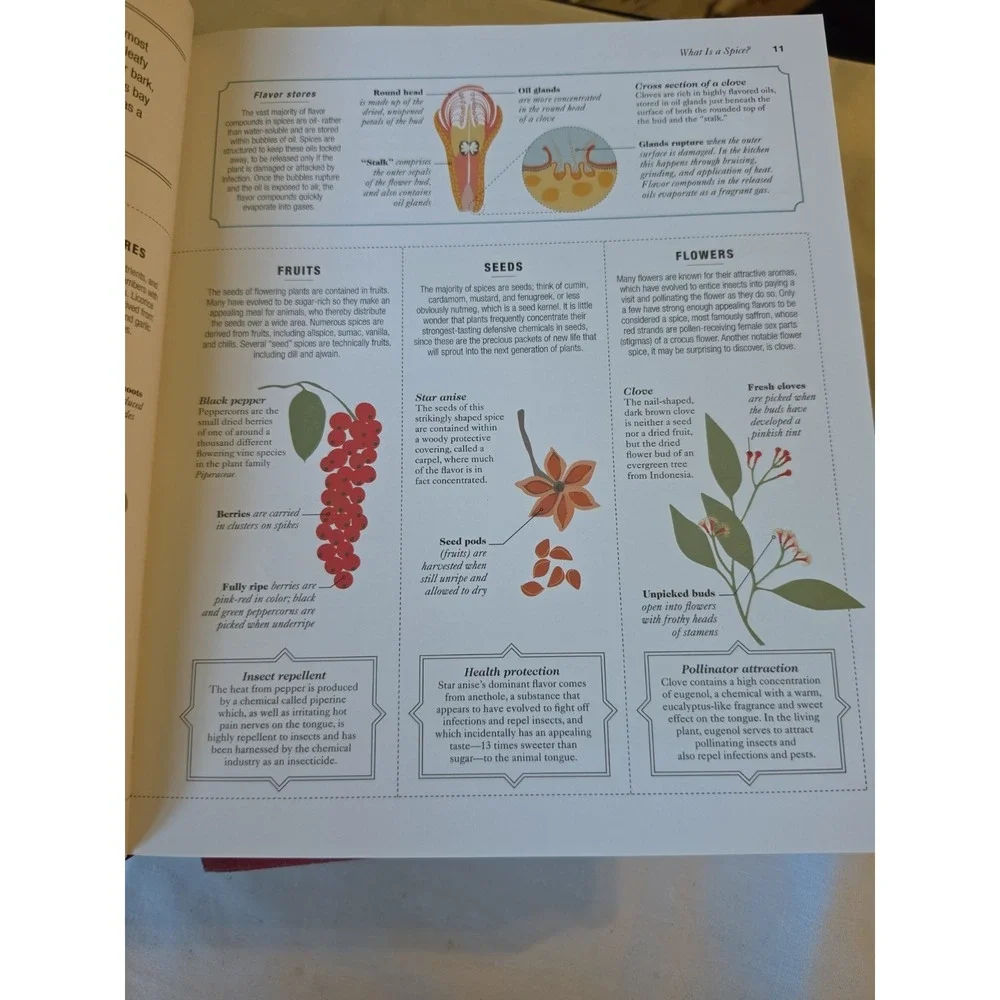 The Science of Spice: Understand Flavour Connections DK Books